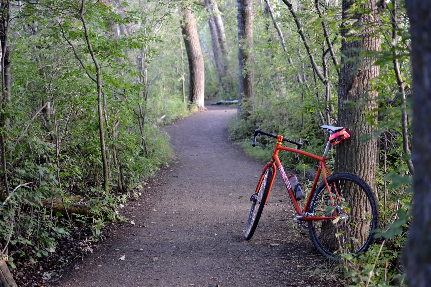 Townie Trail....
