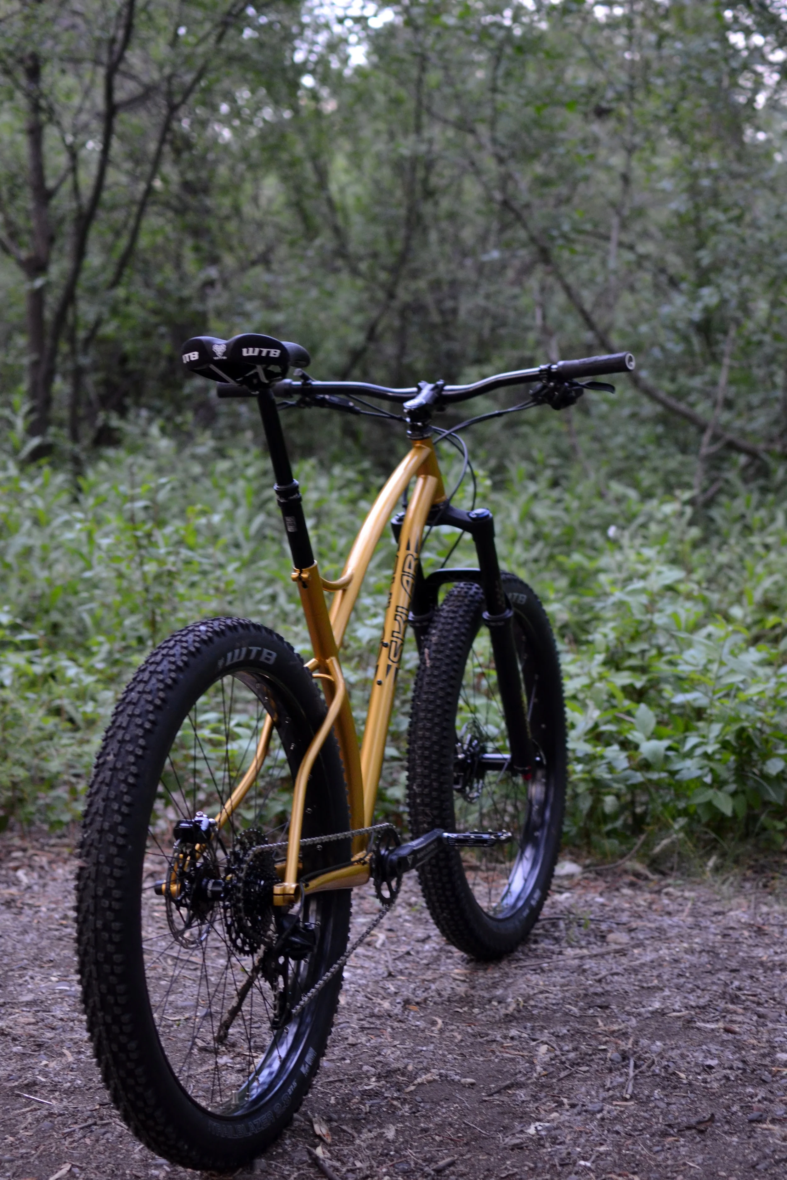 Sklar Custom plus mountain bike steel