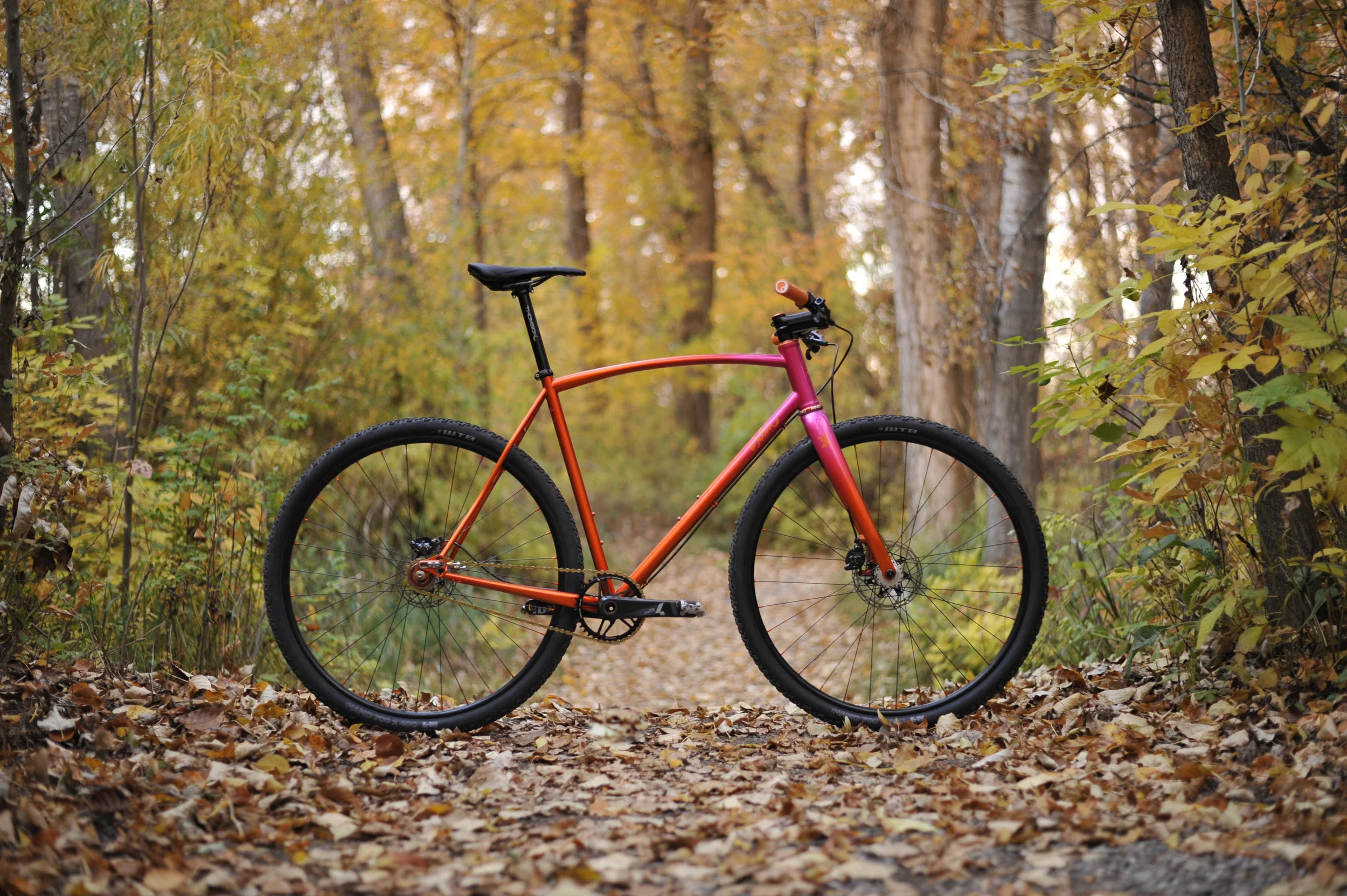 Team Edition SSCX — Sklar | Steel and 