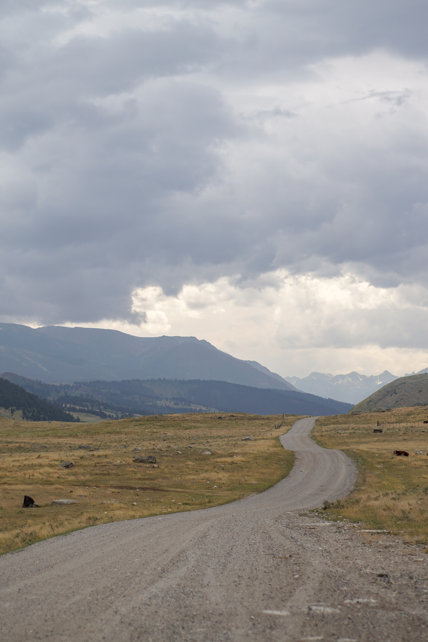 bikepacking bozeman montana gravel grinding