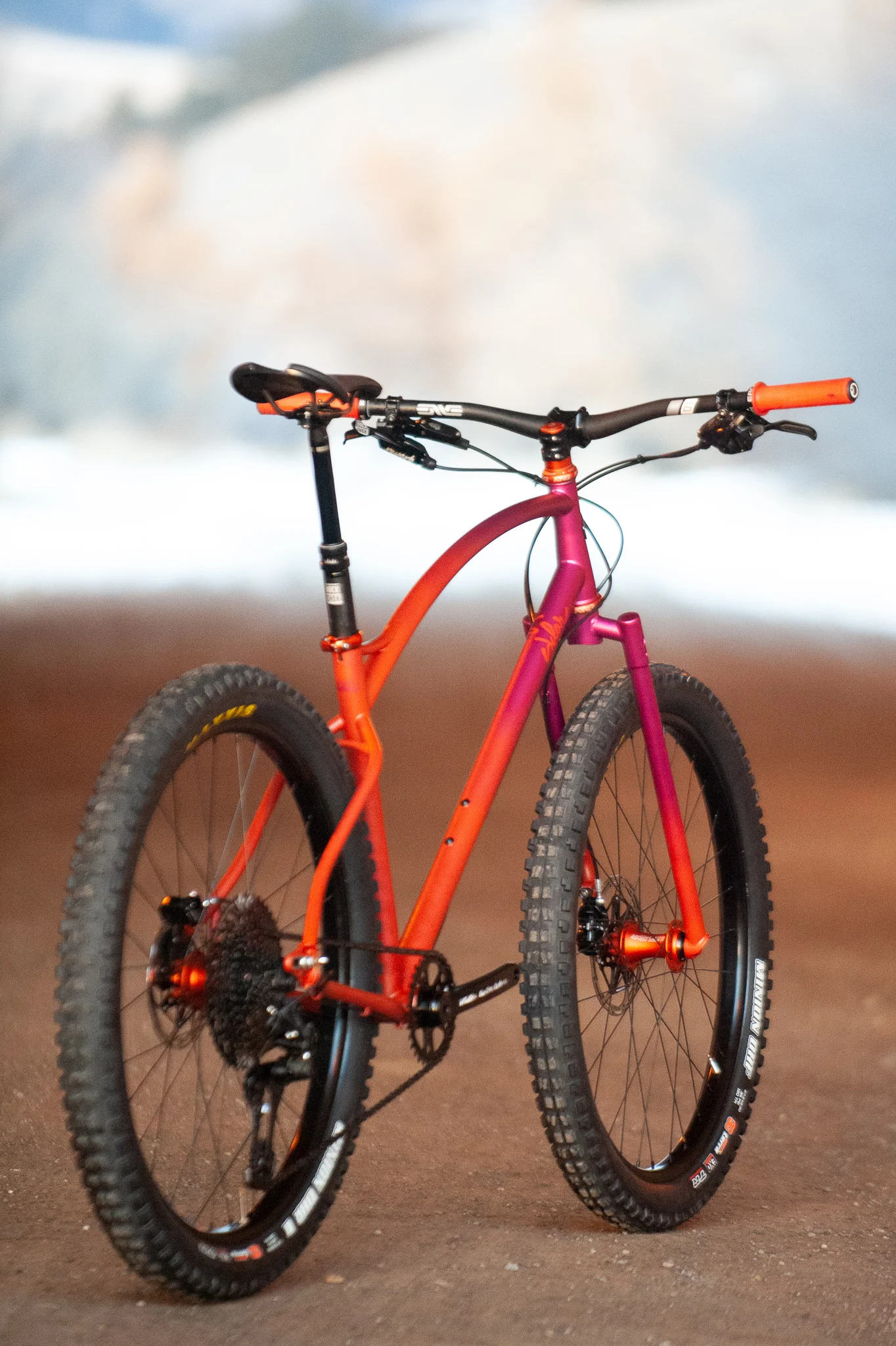 custom mountain bikes for sale
