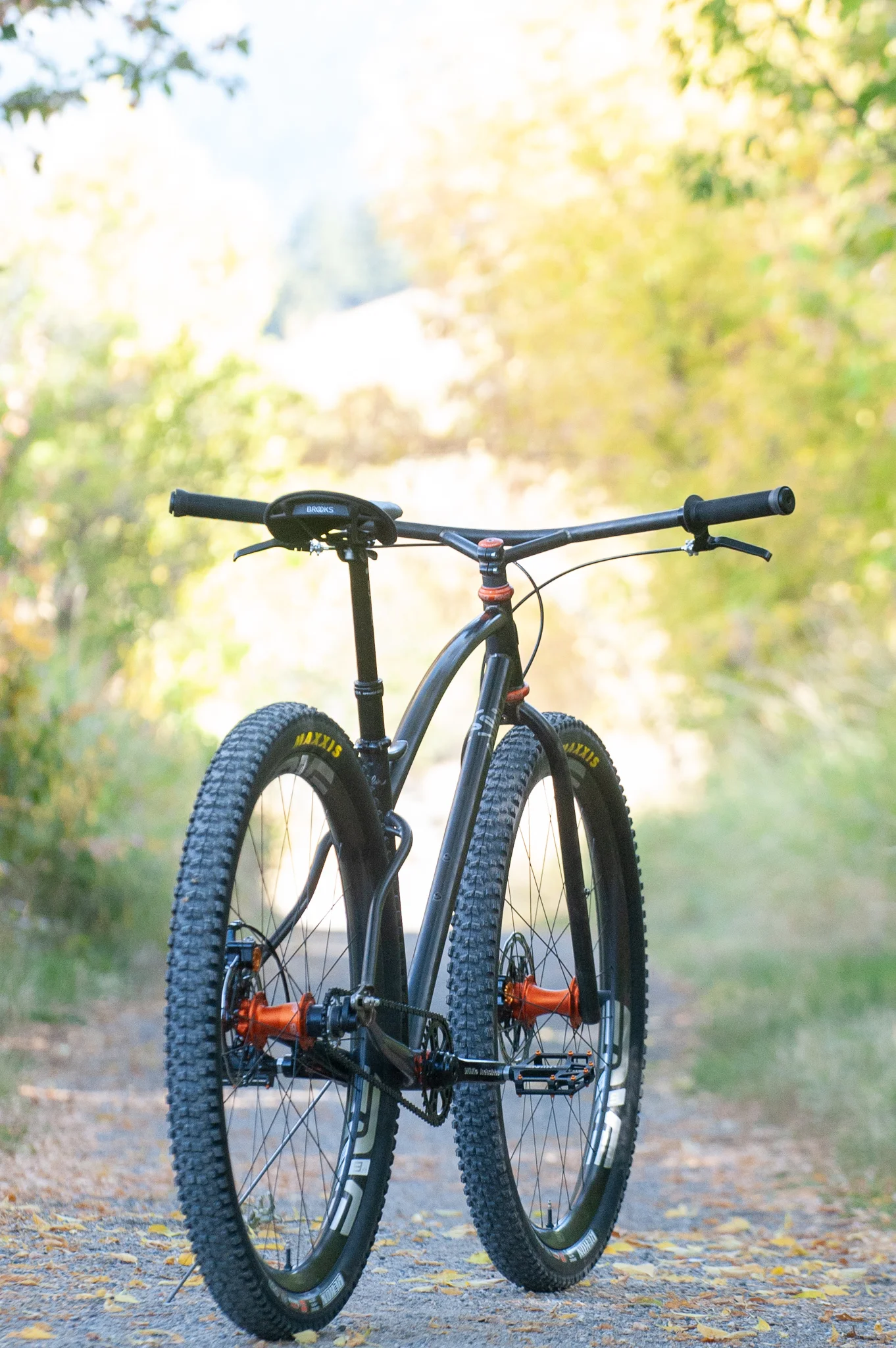 The Chris King Openhouse Single Speed 