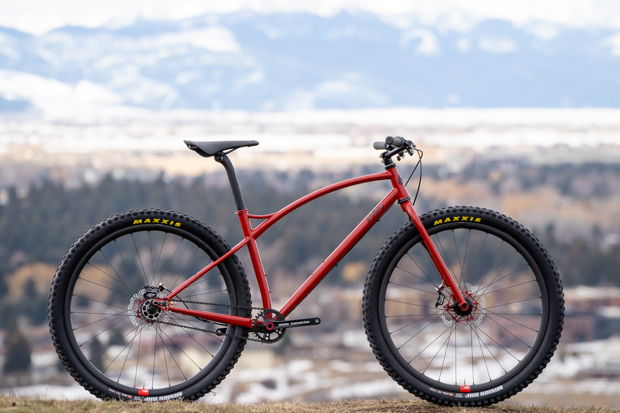 steel rigid mountain bike