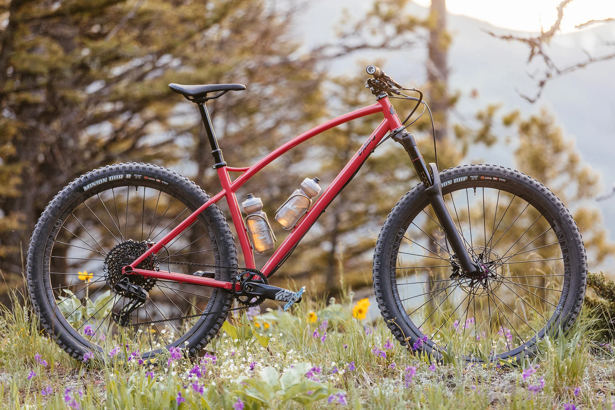 Sweet Spot Steel Hardtail — Sklar 