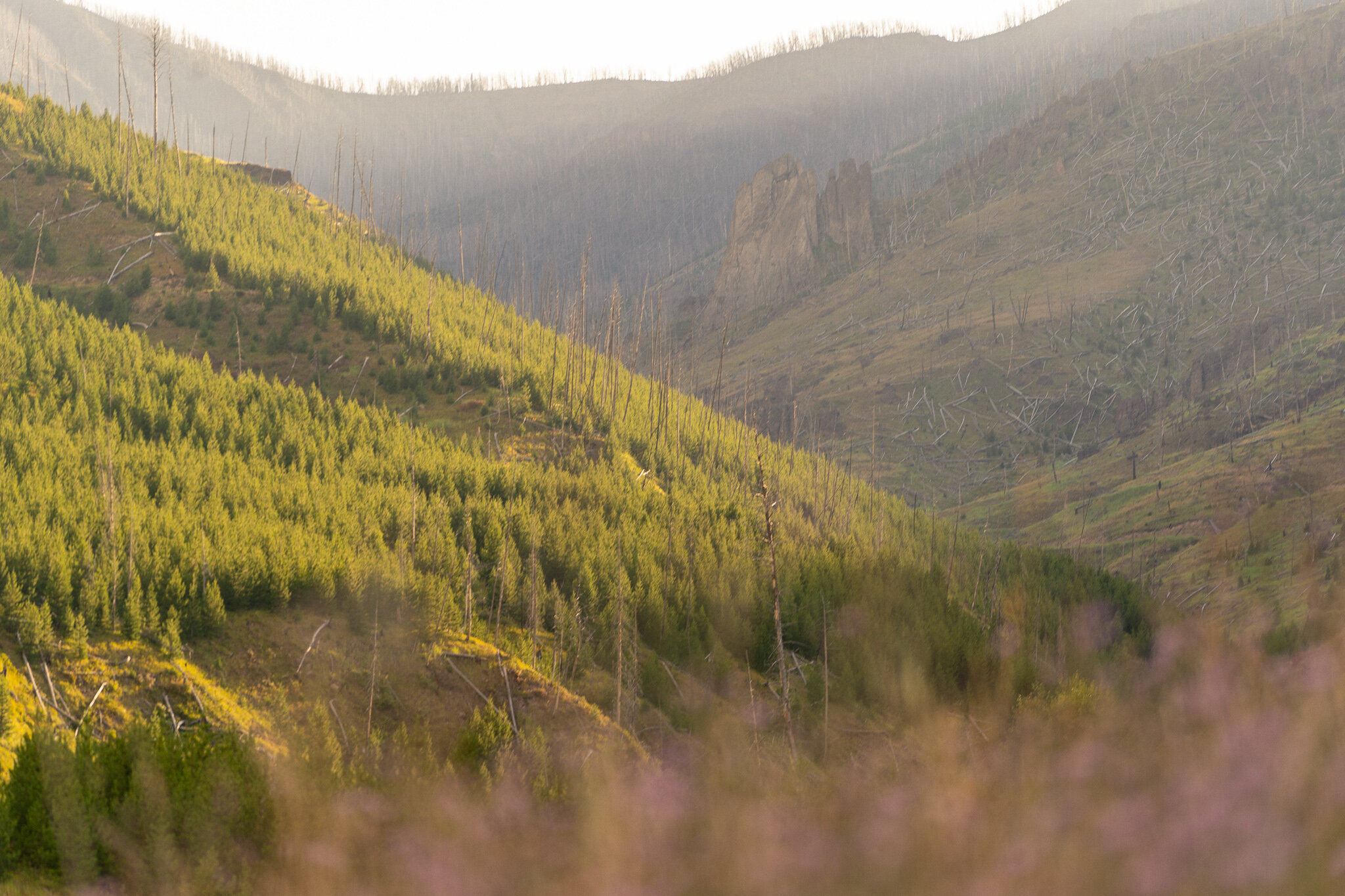 bikepacking near bozeman montana