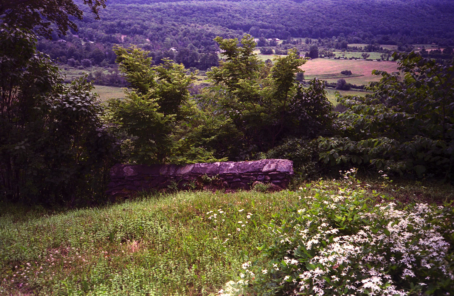 1500_SFW_Vermont-2019-Fuji400H-05.jpg