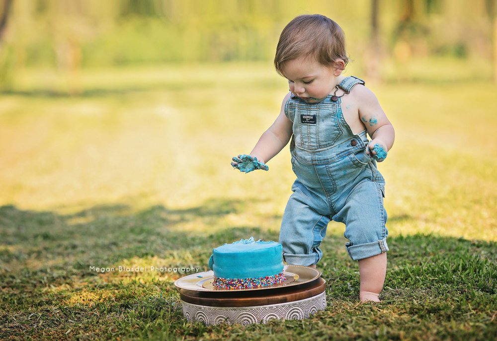 One Year Old Cake Investigation