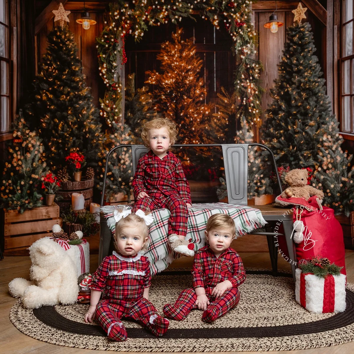 meganblasdelchristmasphotography6.jpg