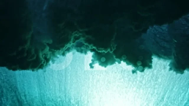 Color Obsessed Video