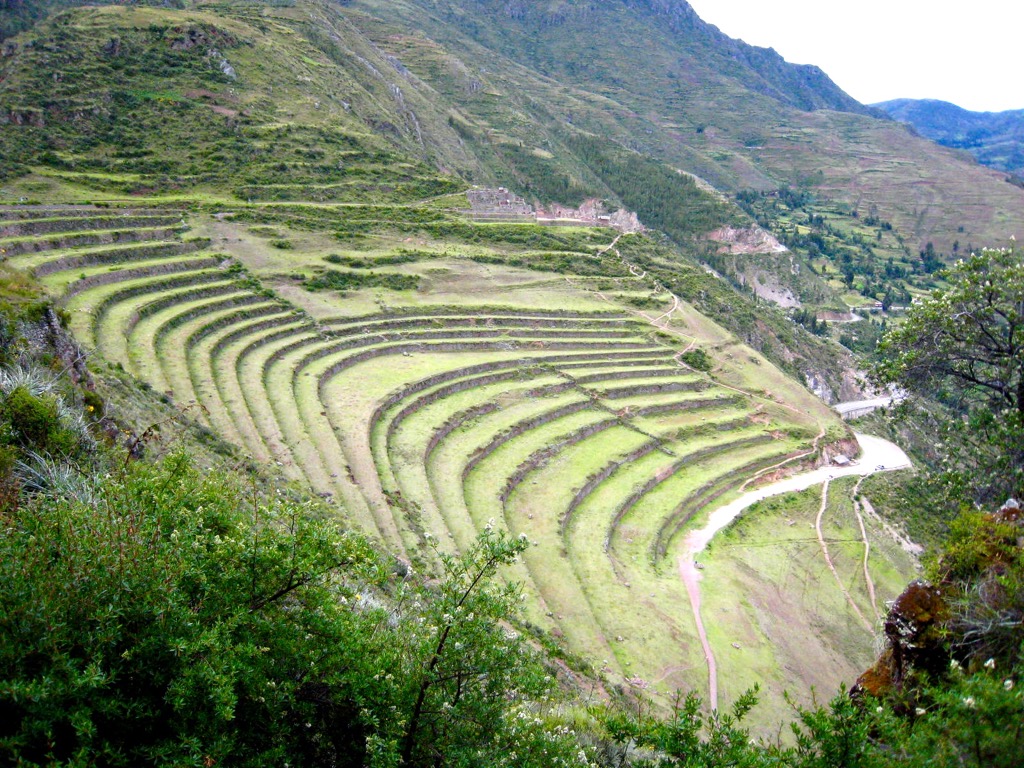 Terraced farming in a mountainous country.