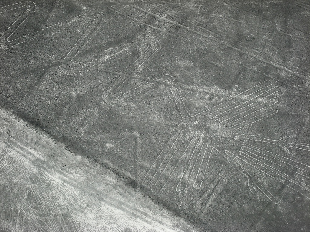  Part of Flamingo-Nasca Lines 