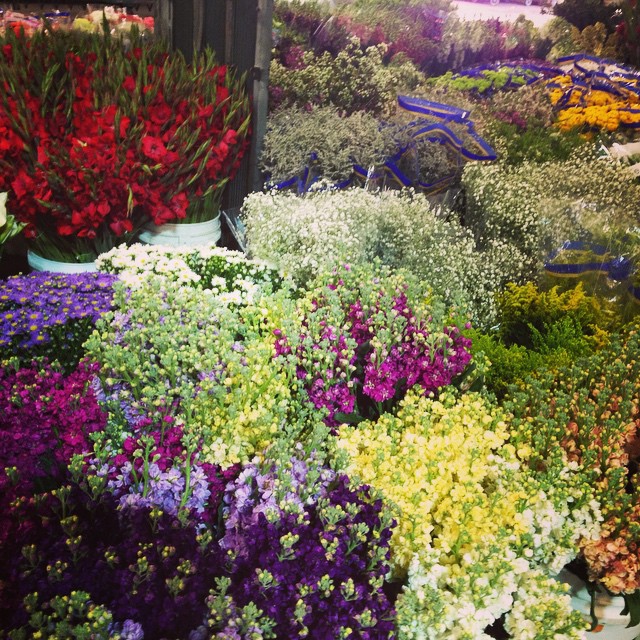 Morning inspiration at the SF flower market.