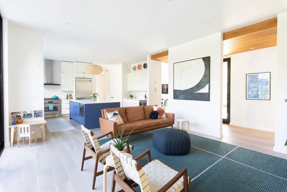Travis Heights Living Room