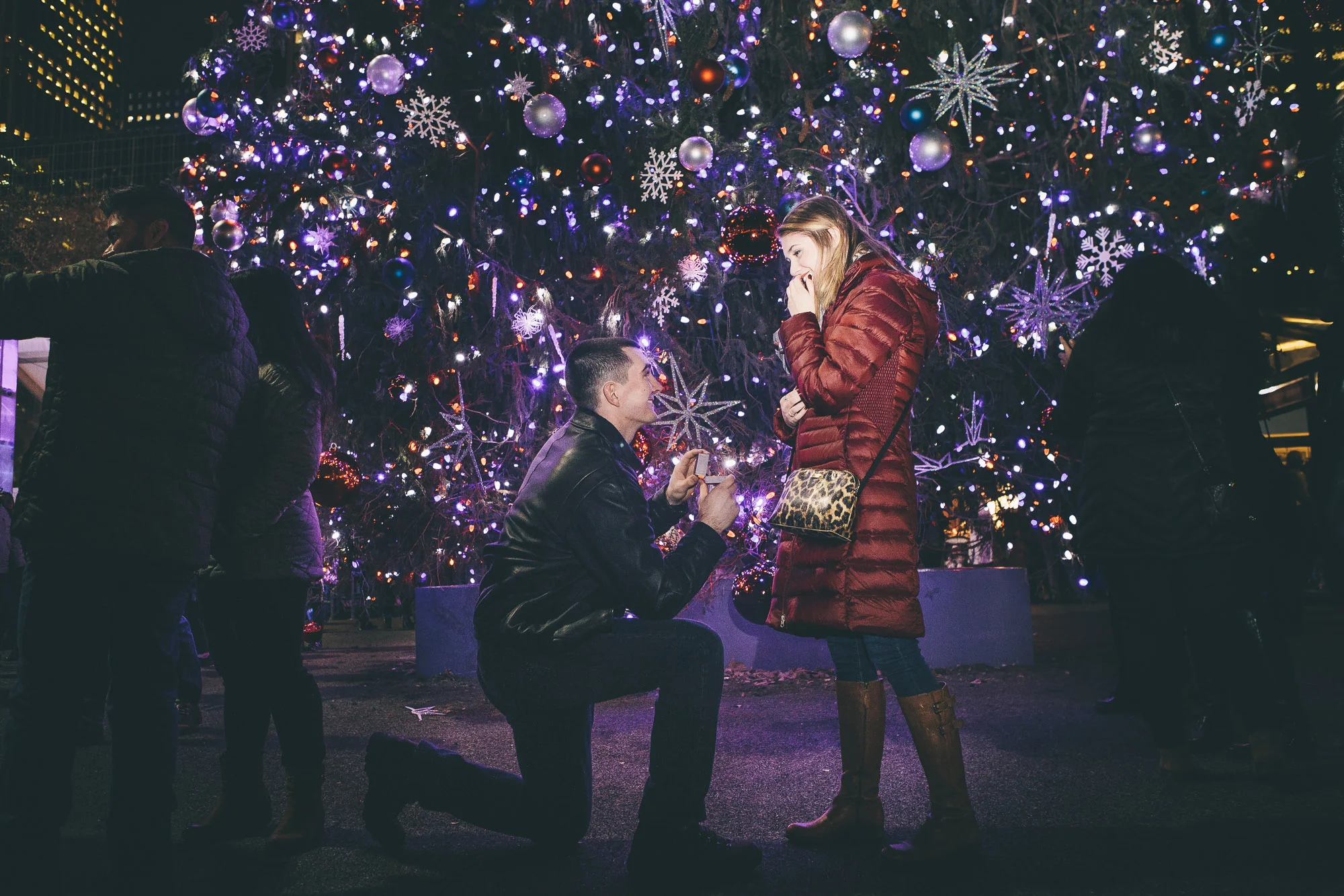 CarlynandJonProposal20171221-002.jpg
