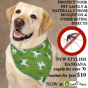 ALL NATURAL INSECT SHIELD FOR YOUR PET