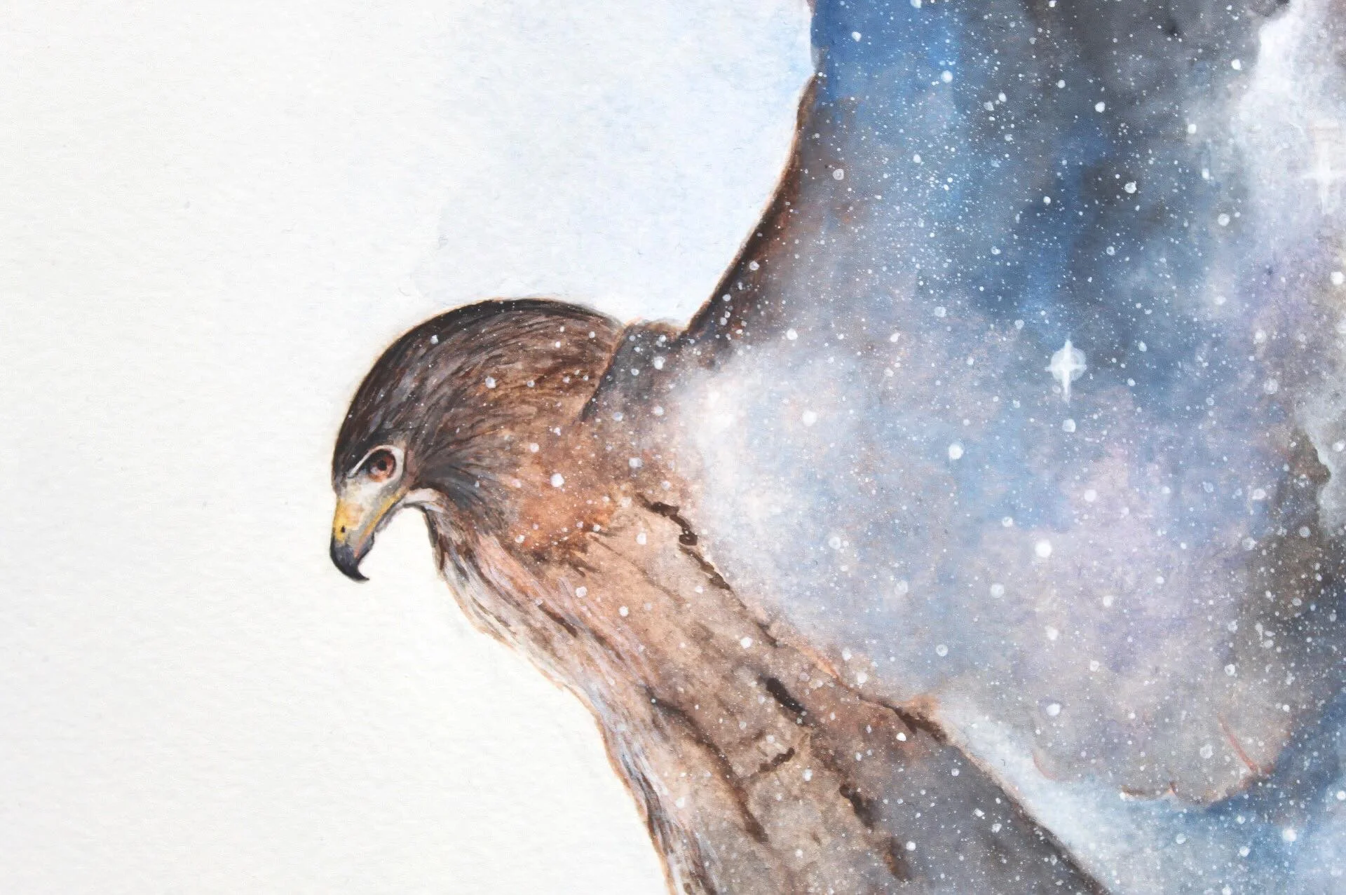 'The Hunt' detail.