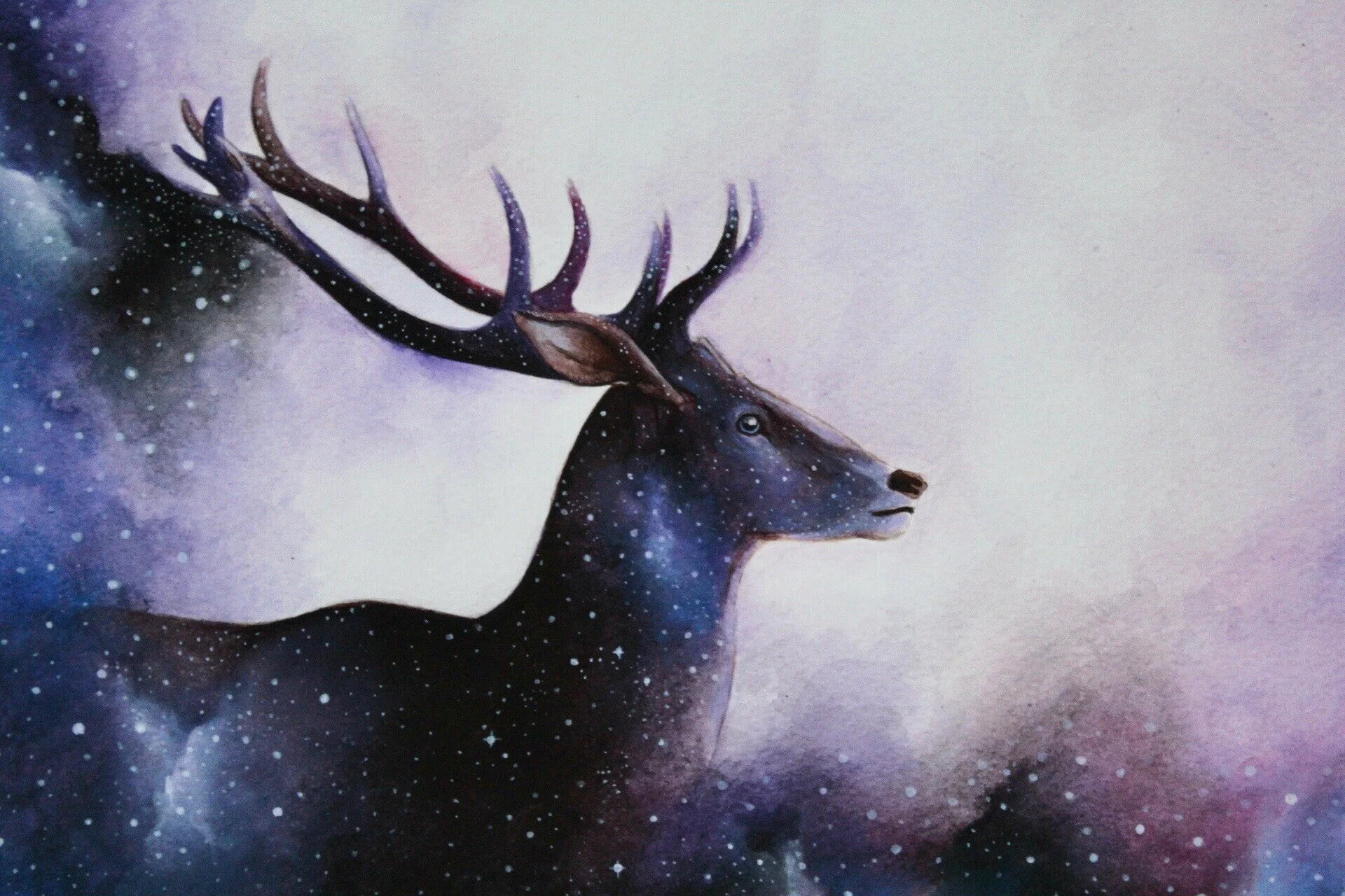 47F3FB3B-938E-4DC8-8BE8-B7A108B53ACF