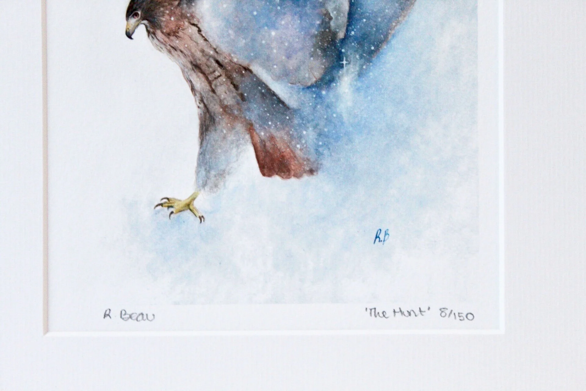 C9CE169D-24DF-4B6D-AF28-6F533D8D552A