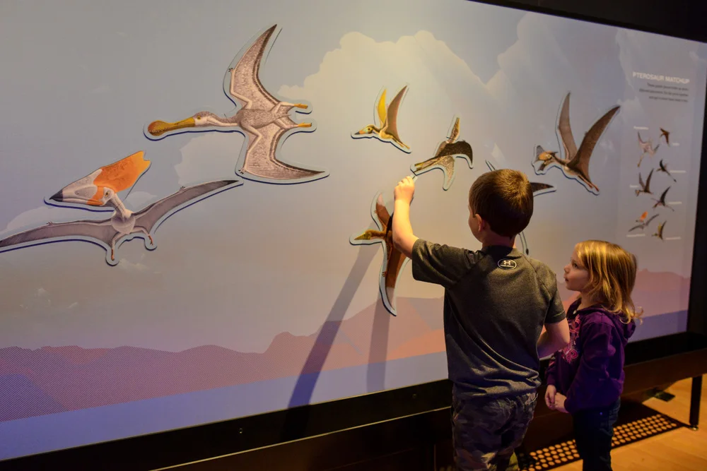   I created the Pterosaur Match-Up&nbsp;&nbsp;for the Pterosaurs exhibit at&nbsp; American Museum of Natural History  NYC.  