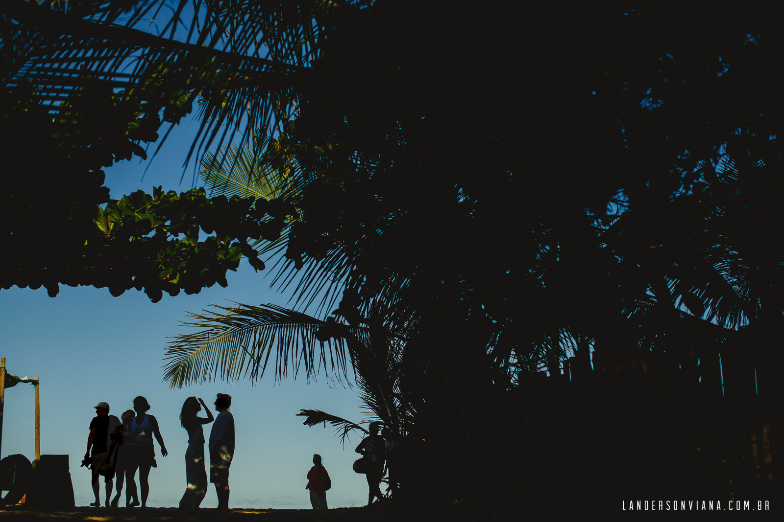 3N1A8242-Edit-2-Edit.jpg