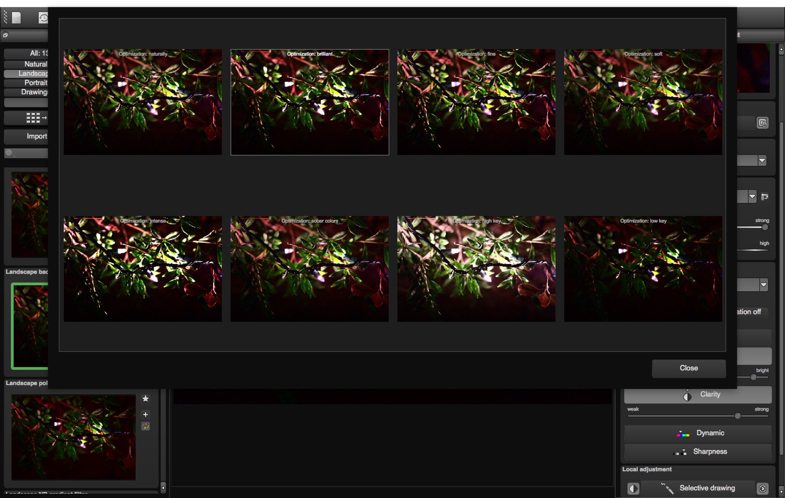 Optimization Window view.