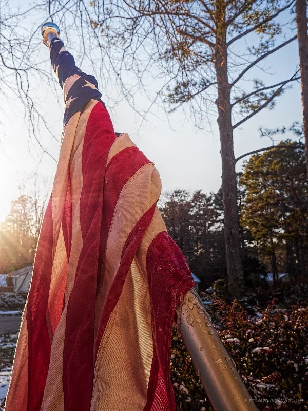 A cold day for Old Glory...but these colors don't run.