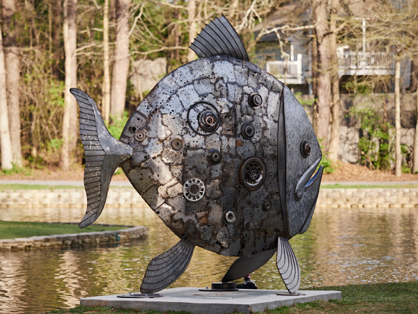 The Tin Fish which got away today
