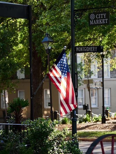 Apr 16 2018 Savannah 1047_1.jpg