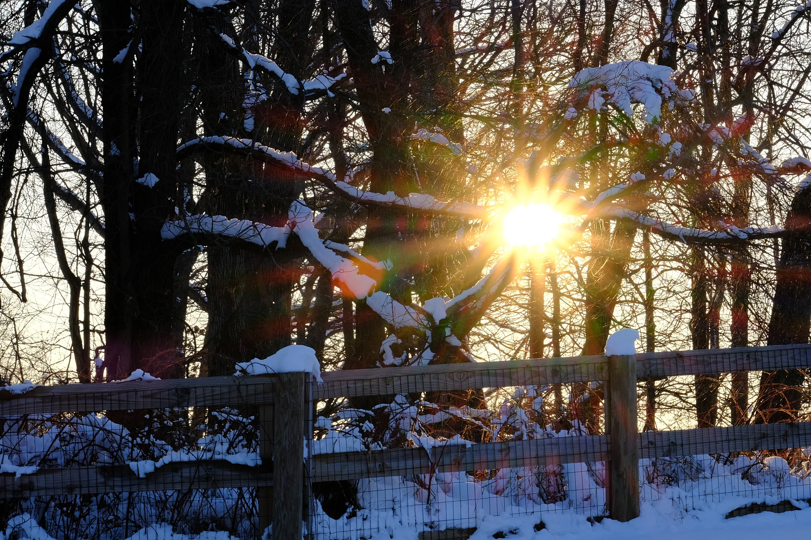 15-01-19 First SNow 2019 228.jpg