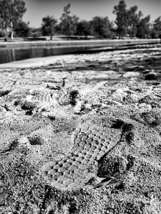 Image 6-13-21 at 8.04 PM.jpeg