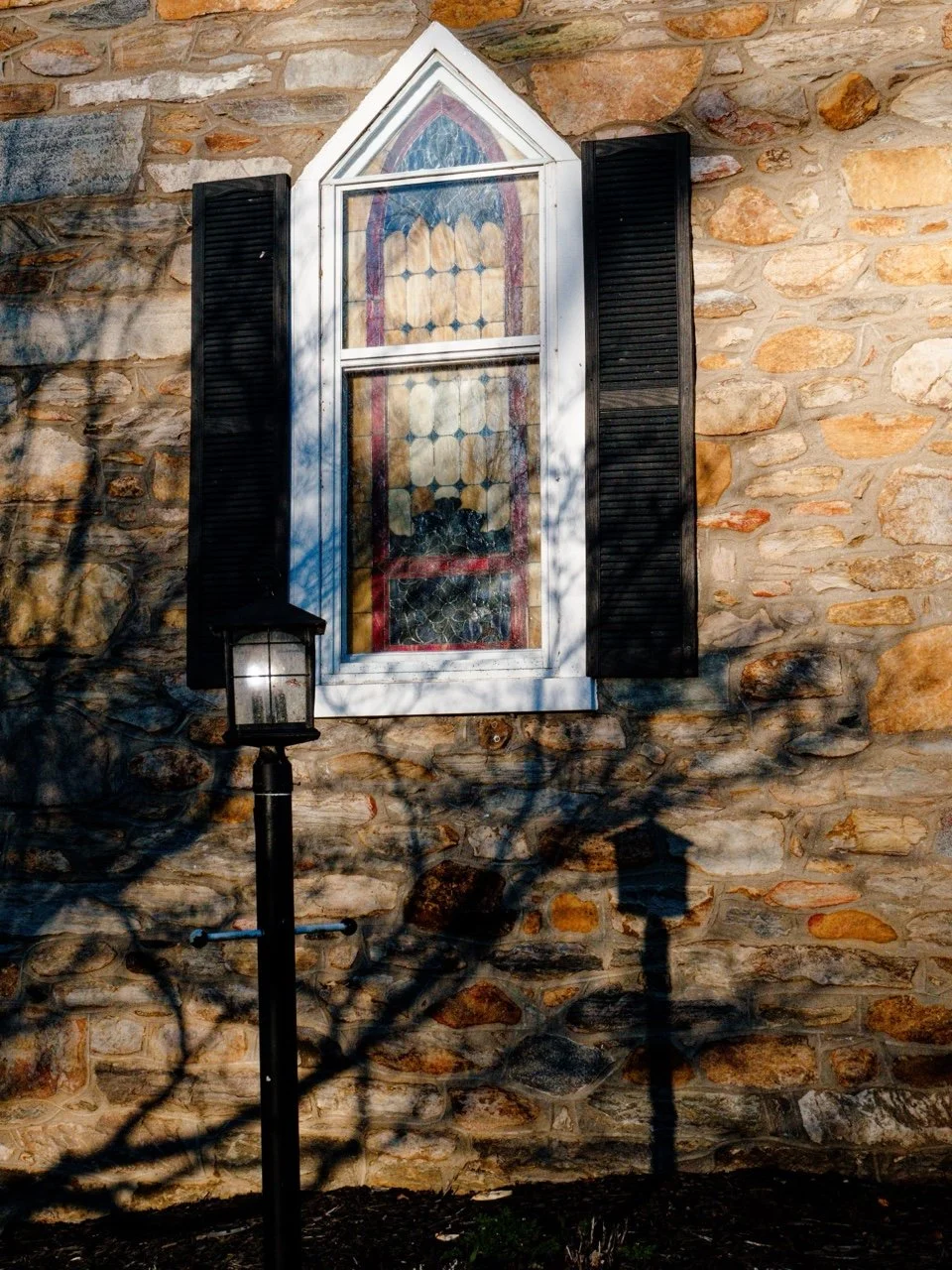 LEICA DLUX8 2026-03-16-LEICA D-Lux 8-{N}-36_Provia 400F.jpg