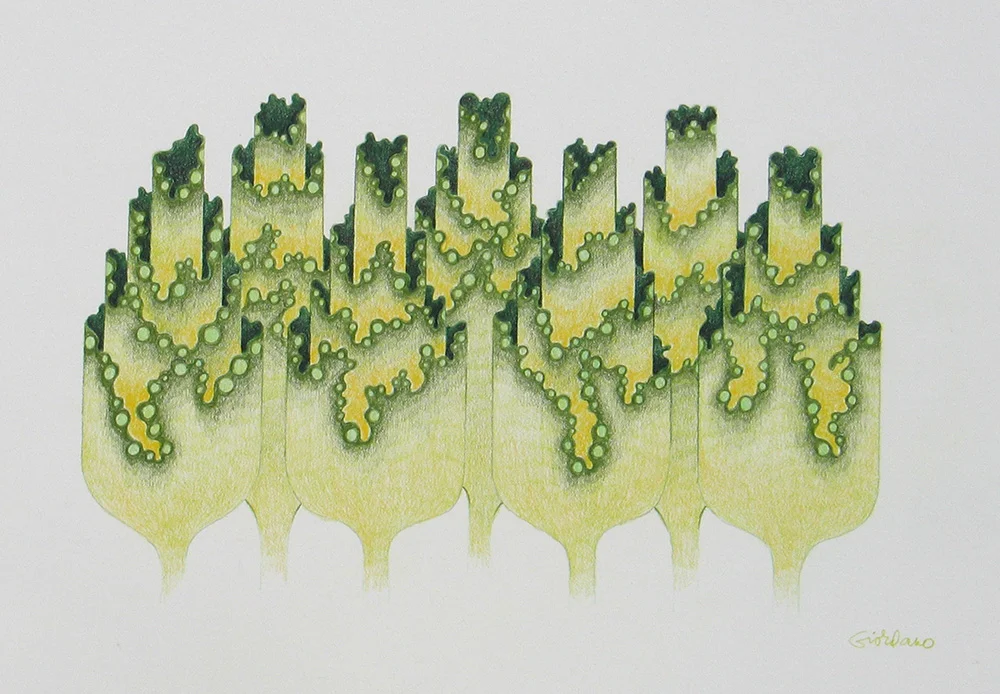 Undiscovered Species 3