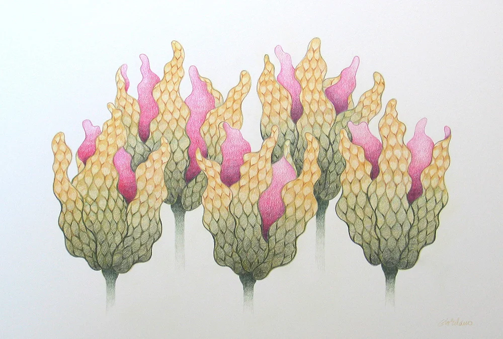 Undiscovered Species 2 