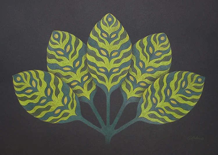 Undiscovered Species