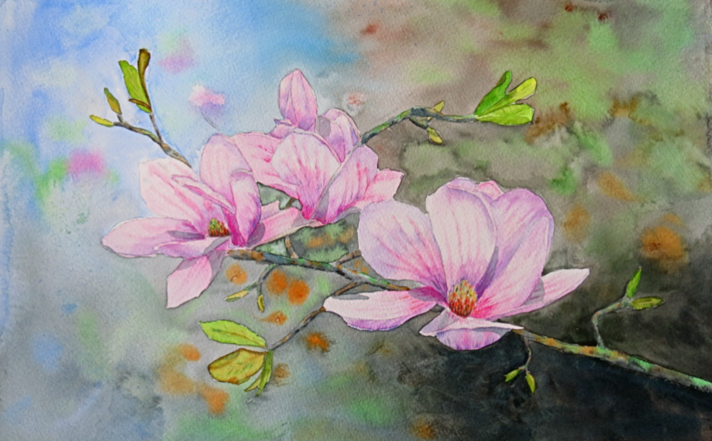 Magnolia