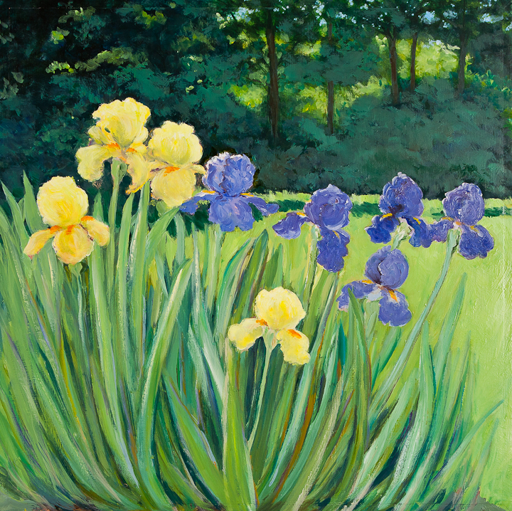 The Irises in the Garden