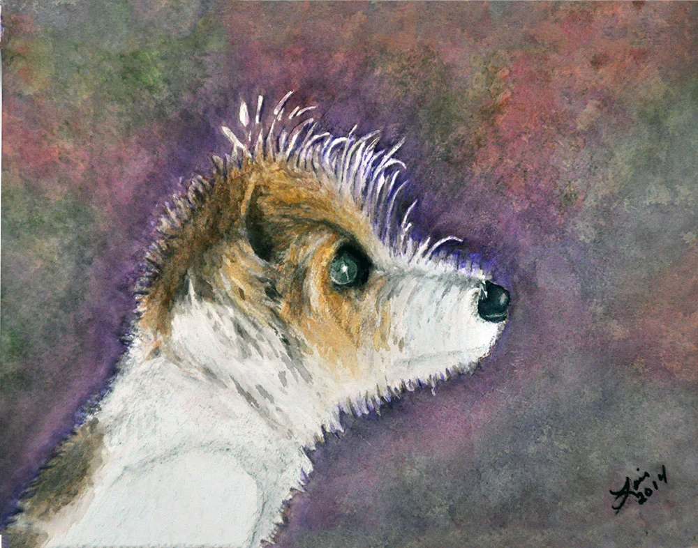 Doggie