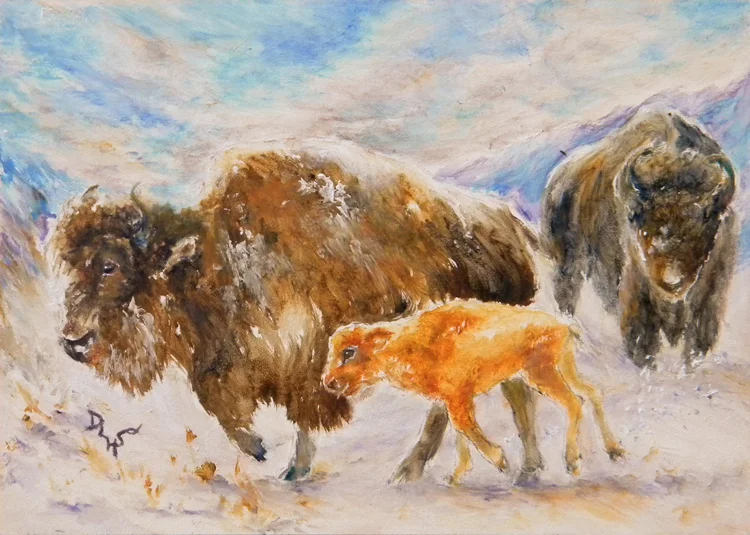 Bison Into the Wind