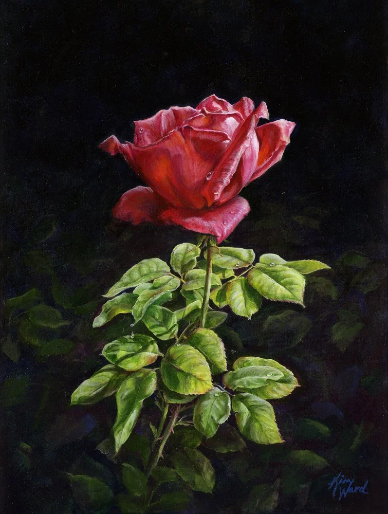 A Rose By Any Other Name