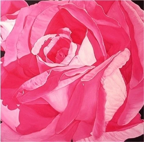 Pink Rose