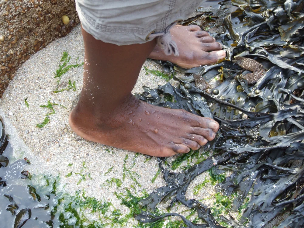 Wet Foot