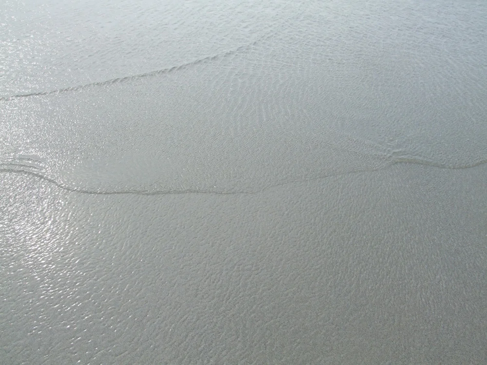 Shallow Water