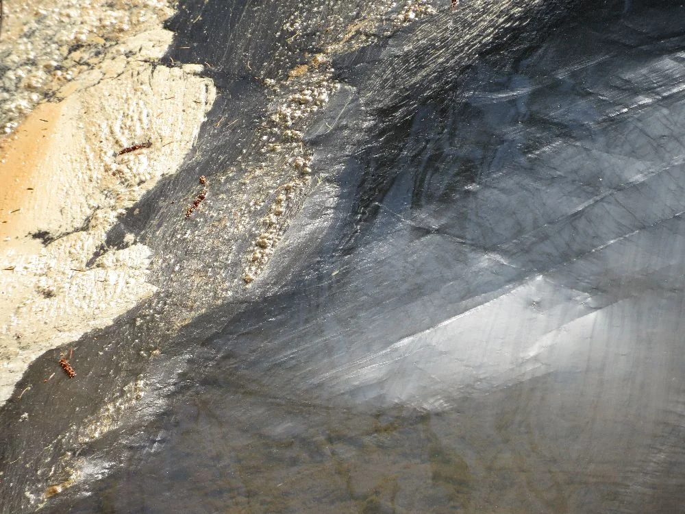 Stagnant 1