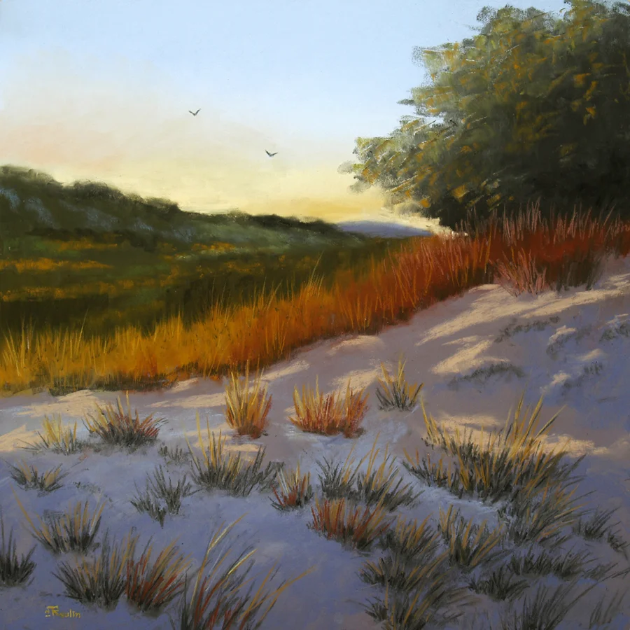 Sunlight Over the Dunes