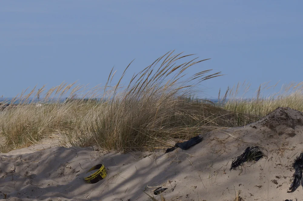 Kincardine Dunes