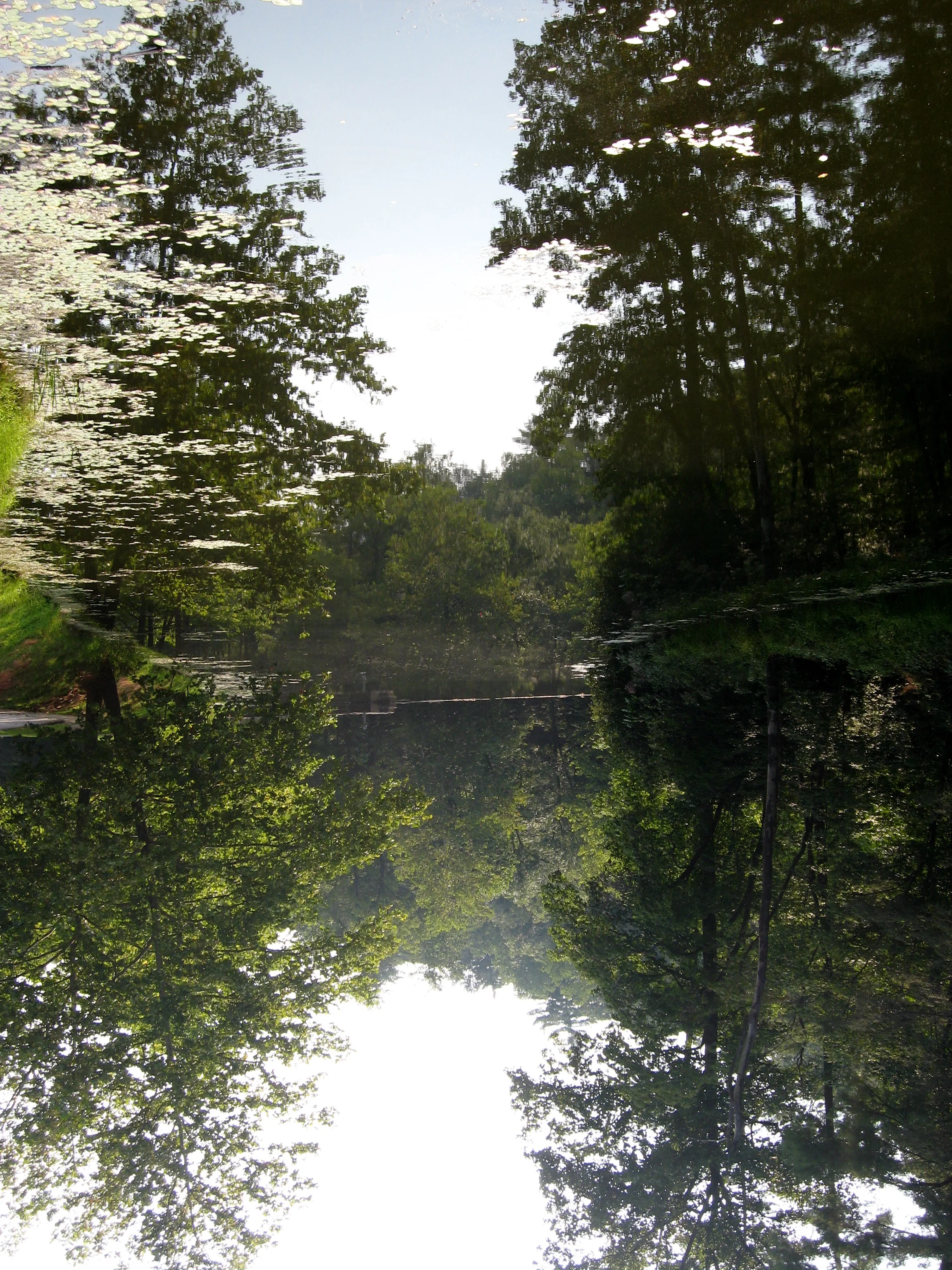 A Lake at Blue Ridge Parkway