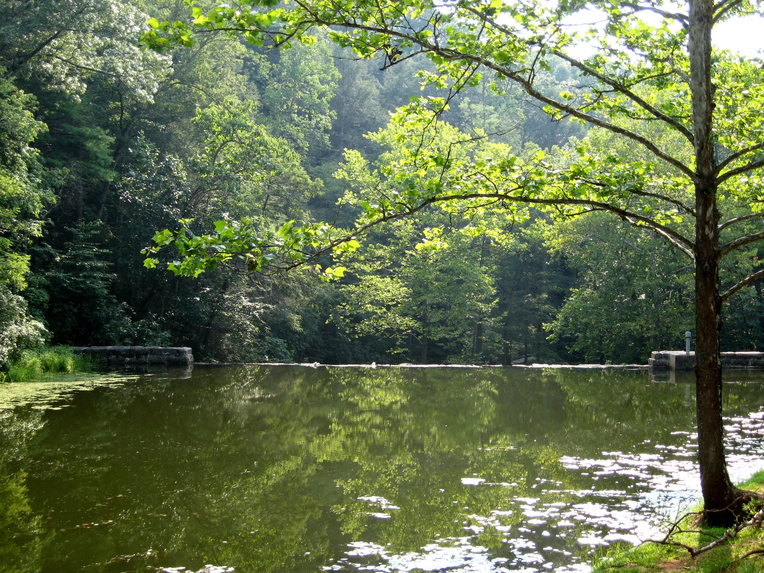 Waterfall at Blue Ridge Parkway