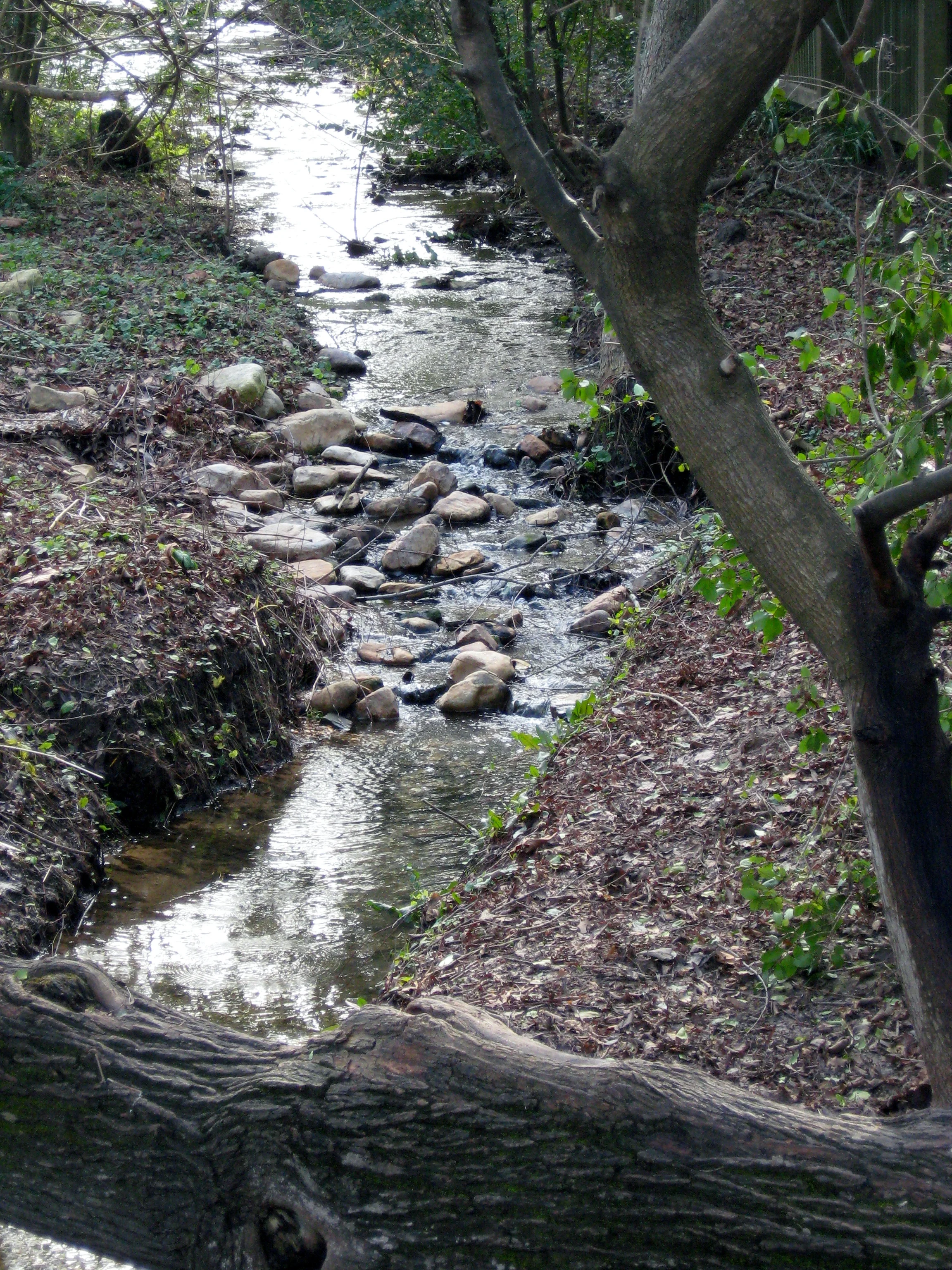  A River in Williamsburg 2