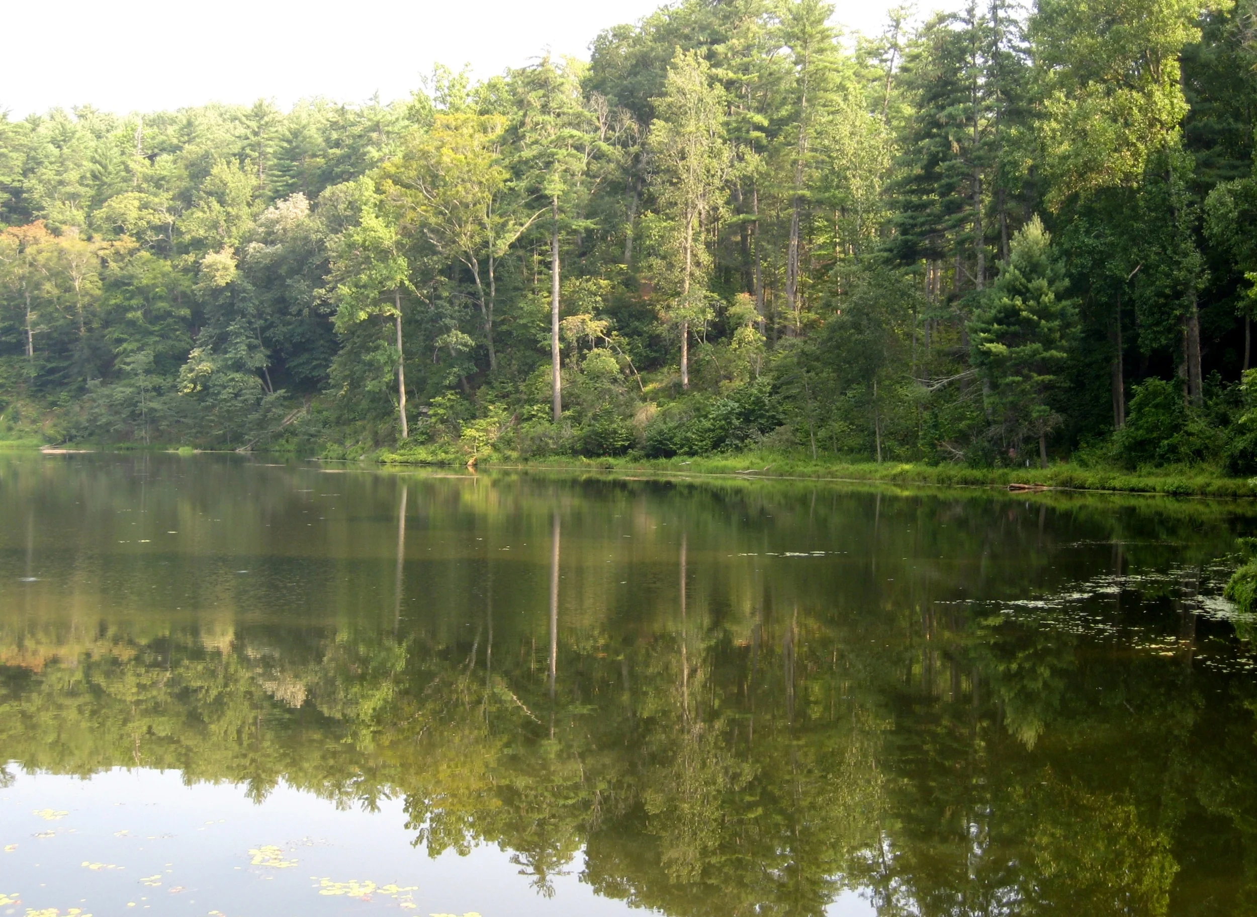 A Lake at Blue Ridge Parkway 2