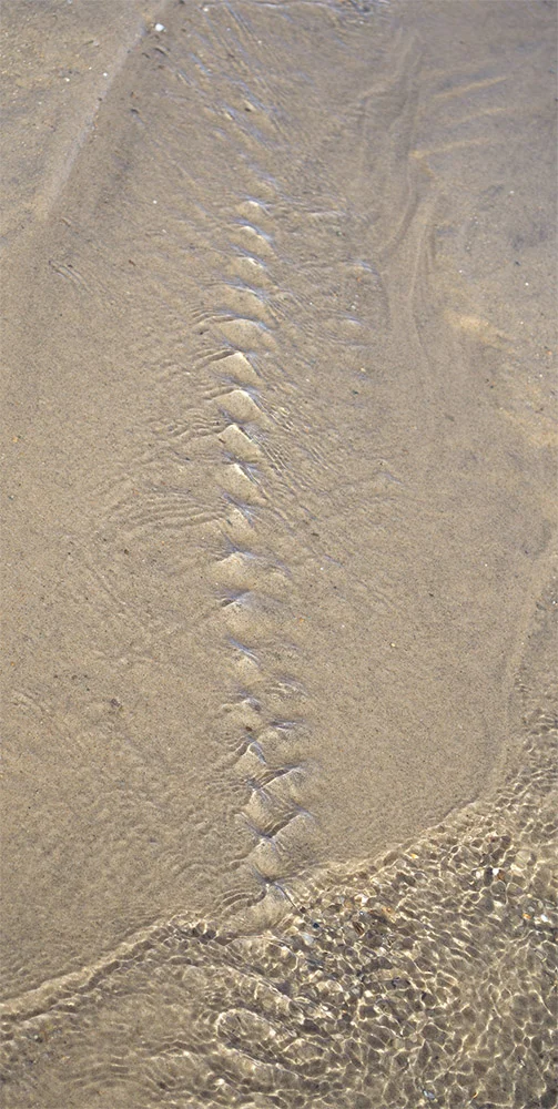 Standing Wave I